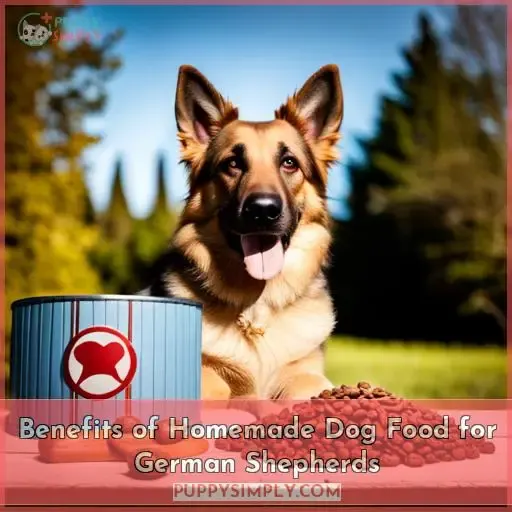 Benefits of Homemade Dog Food for German Shepherds