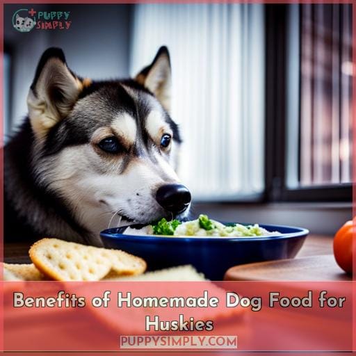 benefits-of-homemade-dog-food-for-huskies.jpg