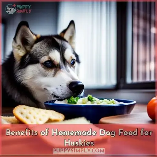 Benefits of Homemade Dog Food for Huskies
