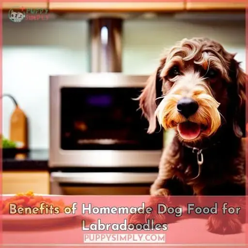 Benefits of Homemade Dog Food for Labradoodles
