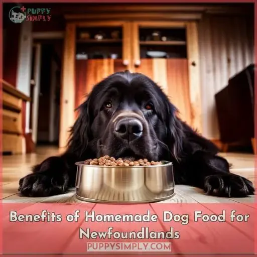 Benefits of Homemade Dog Food for Newfoundlands