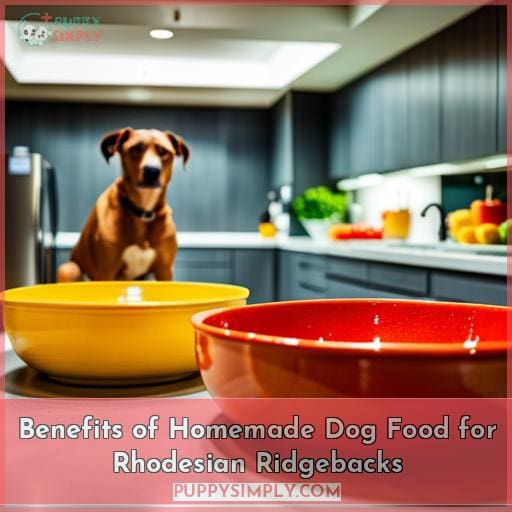 Benefits of Homemade Dog Food for Rhodesian Ridgebacks