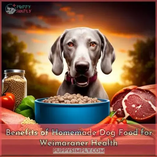 Benefits of Homemade Dog Food for Weimaraner Health