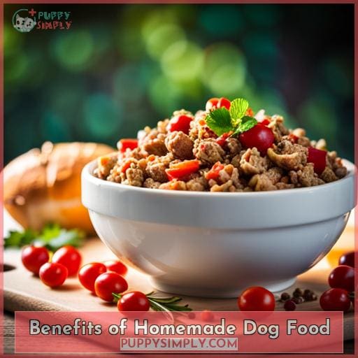 Benefits of Homemade Dog Food