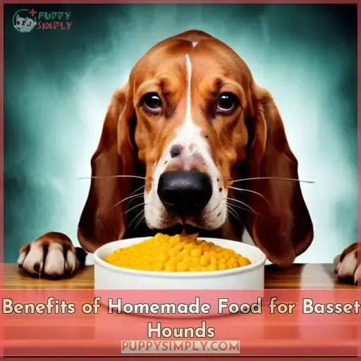 Benefits of Homemade Food for Basset Hounds