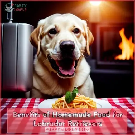 Benefits of Homemade Food for Labrador Retrievers