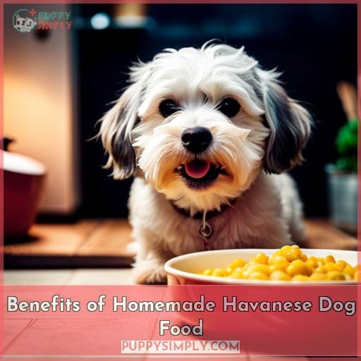 Benefits of Homemade Havanese Dog Food