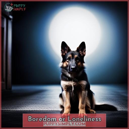 Boredom or Loneliness
