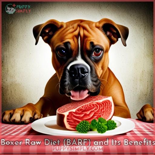 Boxer Raw Diet (BARF) and Its Benefits
