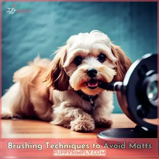 Brushing Techniques to Avoid Matts