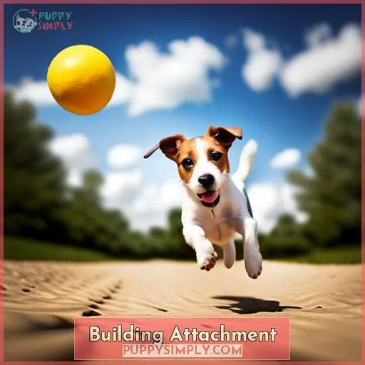 Building Attachment