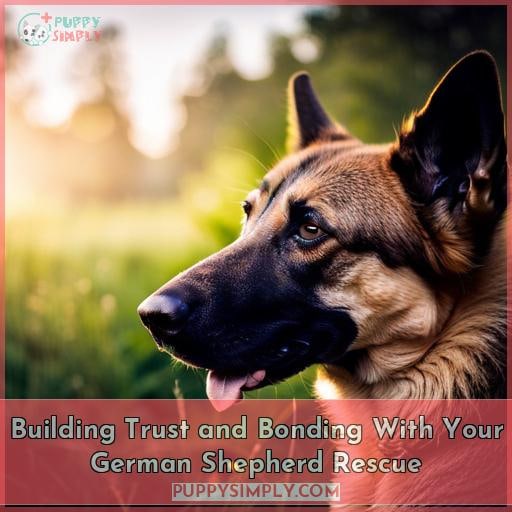 Building Trust and Bonding With Your German Shepherd Rescue