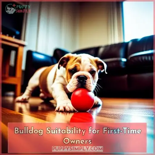 Bulldog Suitability for First-Time Owners
