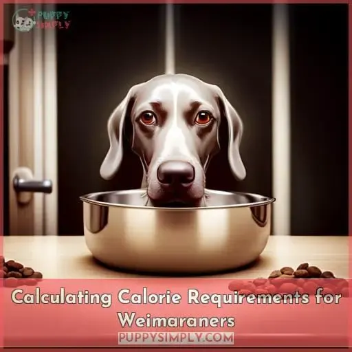 Calculating Calorie Requirements for Weimaraners