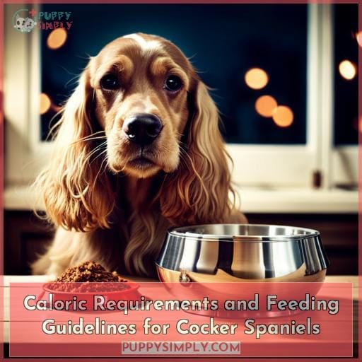Caloric Requirements and Feeding Guidelines for Cocker Spaniels