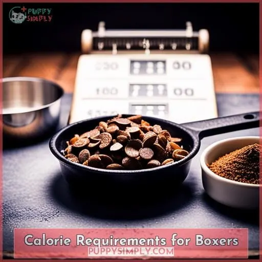 Calorie Requirements for Boxers