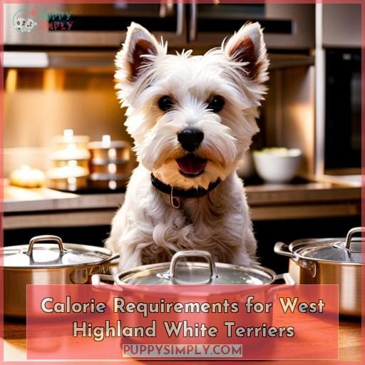 Calorie Requirements for West Highland White Terriers