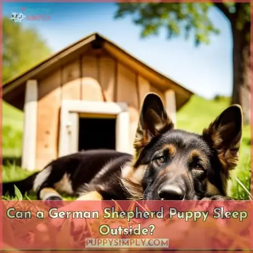 Can a German Shepherd Puppy Sleep Outside