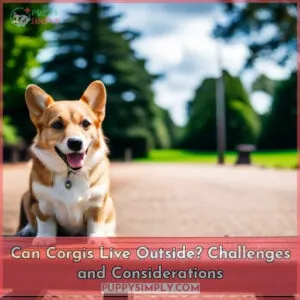 can corgis be left outside