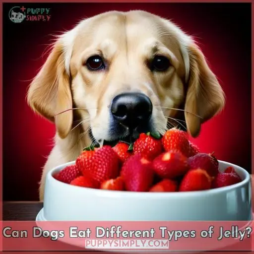 Can Dogs Eat Different Types of Jelly