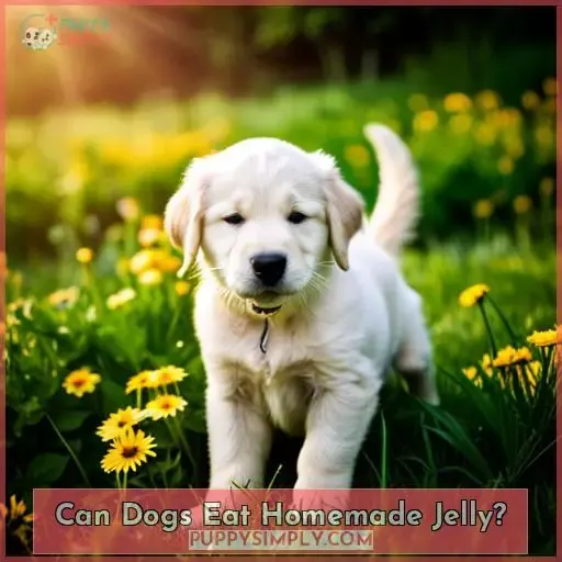 Can Dogs Eat Homemade Jelly