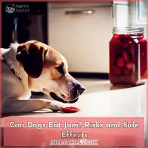 can dogs eat jam