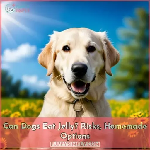 can dogs eat jelly