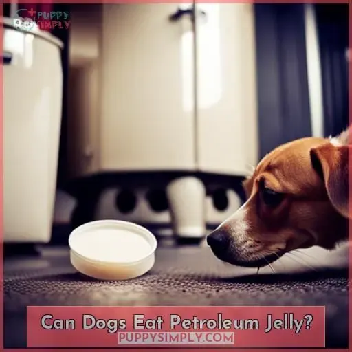 Can Dogs Eat Petroleum Jelly