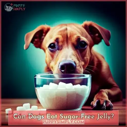 Can Dogs Eat Sugar-Free Jelly