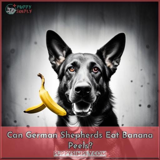Can German Shepherds Eat Banana Peels