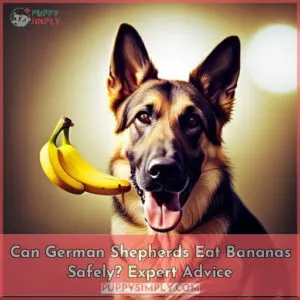 can german shepherds eat bananas