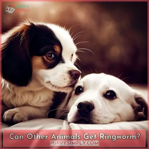 Can Other Animals Get Ringworm