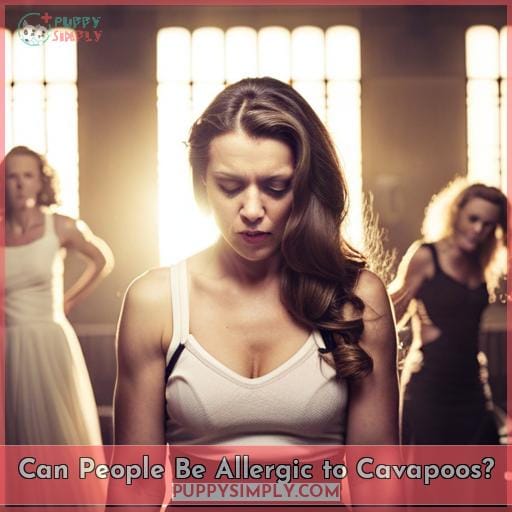 Can People Be Allergic to Cavapoos Can People Be Allergic to Cavapoos