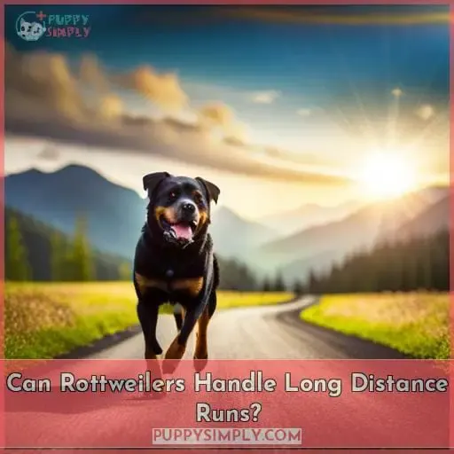Can Rottweilers Handle Long Distance Runs