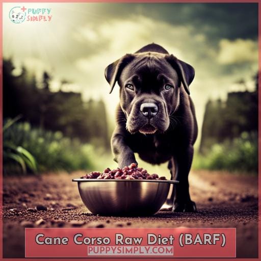 Cane Corso Raw Diet (BARF)