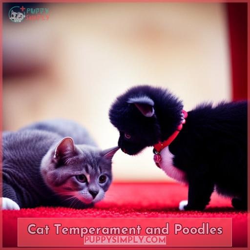 Cat Temperament and Poodles
