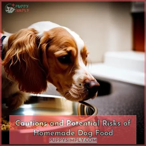 Cautions and Potential Risks of Homemade Dog Food