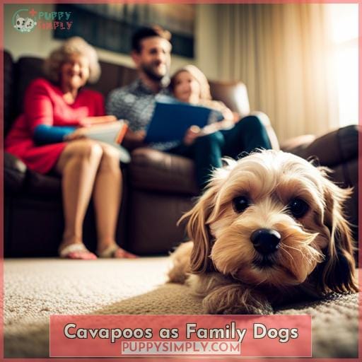 Cavapoos as Family Dogs