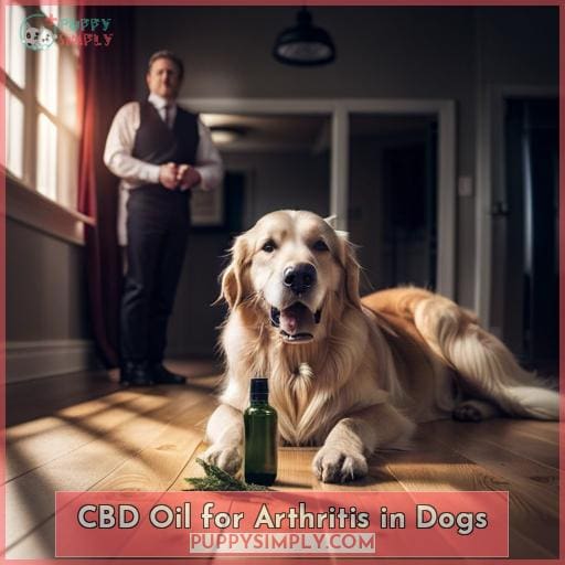 CBD Oil for Arthritis in Dogs