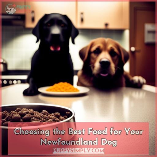 Choosing the Best Food for Your Newfoundland Dog
