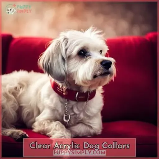 Clear Acrylic Dog Collars