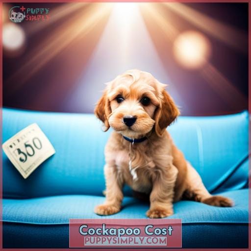 Cockapoo Cost