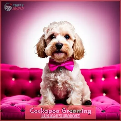 Cockapoo Grooming