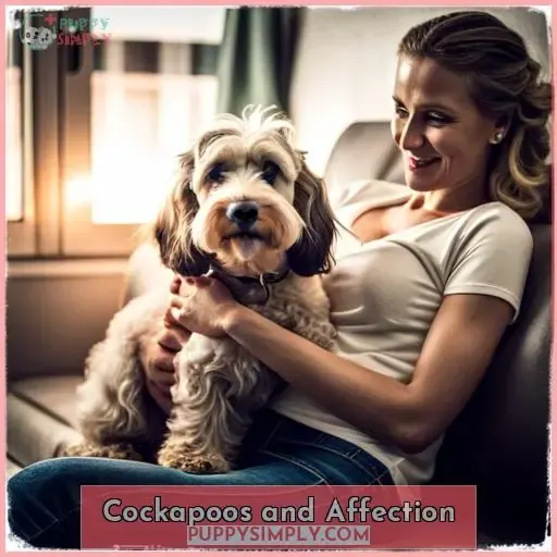 Cockapoos and Affection