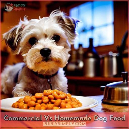 Commercial Vs Homemade Dog Food