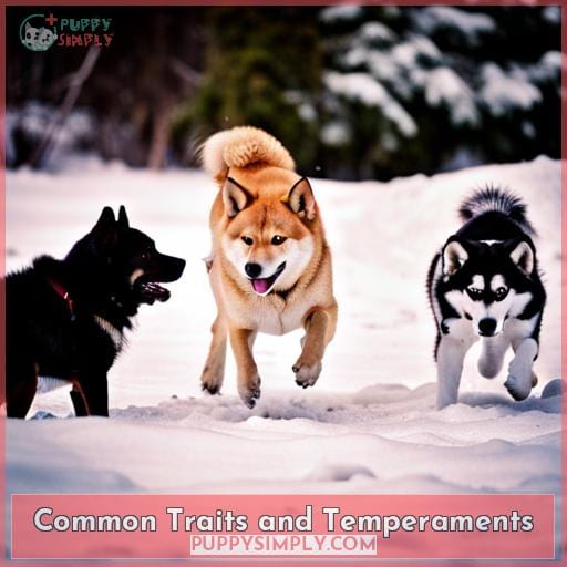Common Traits and Temperaments