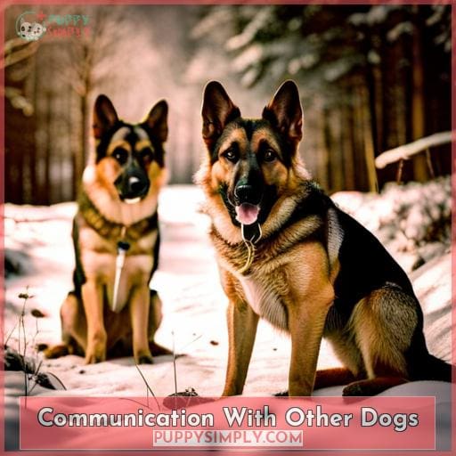 Communication With Other Dogs