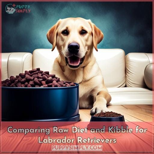 Comparing Raw Diet and Kibble for Labrador Retrievers