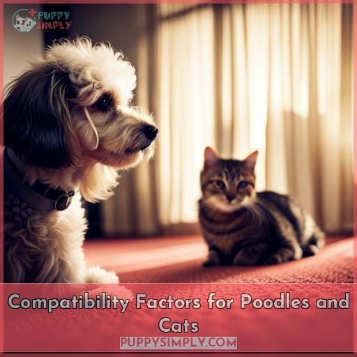 Compatibility Factors for Poodles and Cats