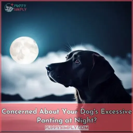 Concerned About Your Dog